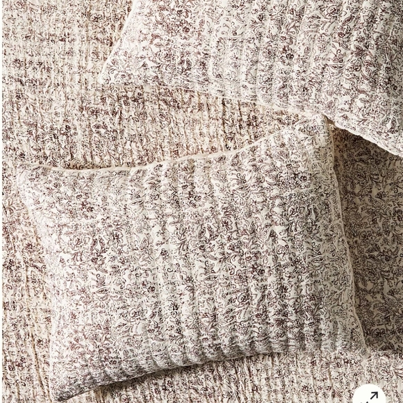 Anthropologie Other - Amber Lewis for Anthropologie Gwendolen Shams, Set of 2